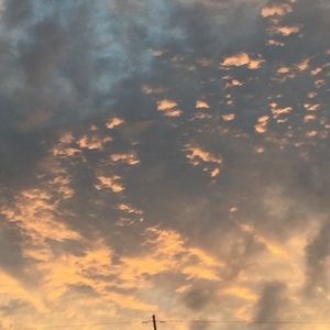 Meet your Posher, Johnnie